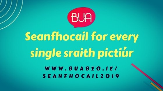 Buabeo's tweet photo. LC Irish students! We've a seanfhocal for every sraith pictiúr for you here:
https://t.co/ejYgC8n2H1 https://t.co/j0iu6aRXOJ