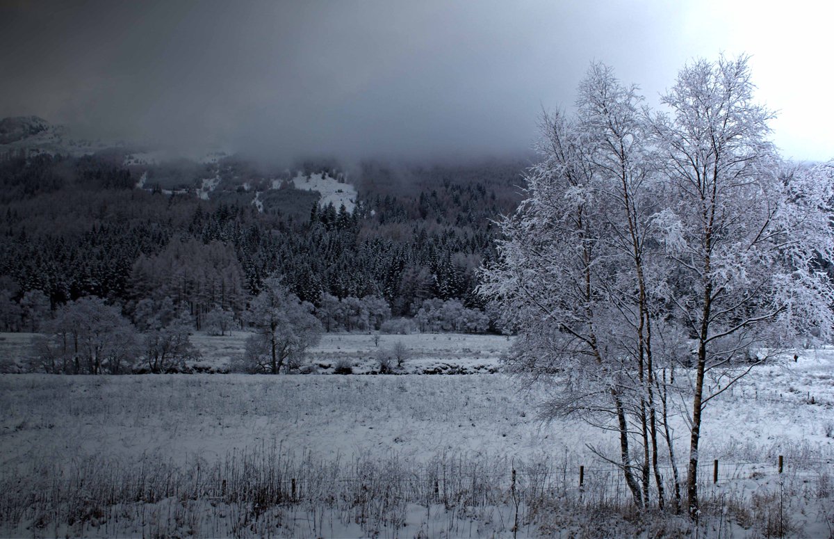 A very Happy New Year to all. Looking forward to making new friends and having new challenges in 2019. #scotland #blackandwhite #forests #nature #photography