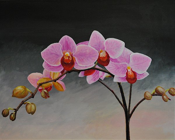 Accordingtogf's tweet photo. New artwork for sale! - "Pink on black" - https://t.co/kmZWKtgZZE @fineartamerica https://t.co/8DBkThXFAb
