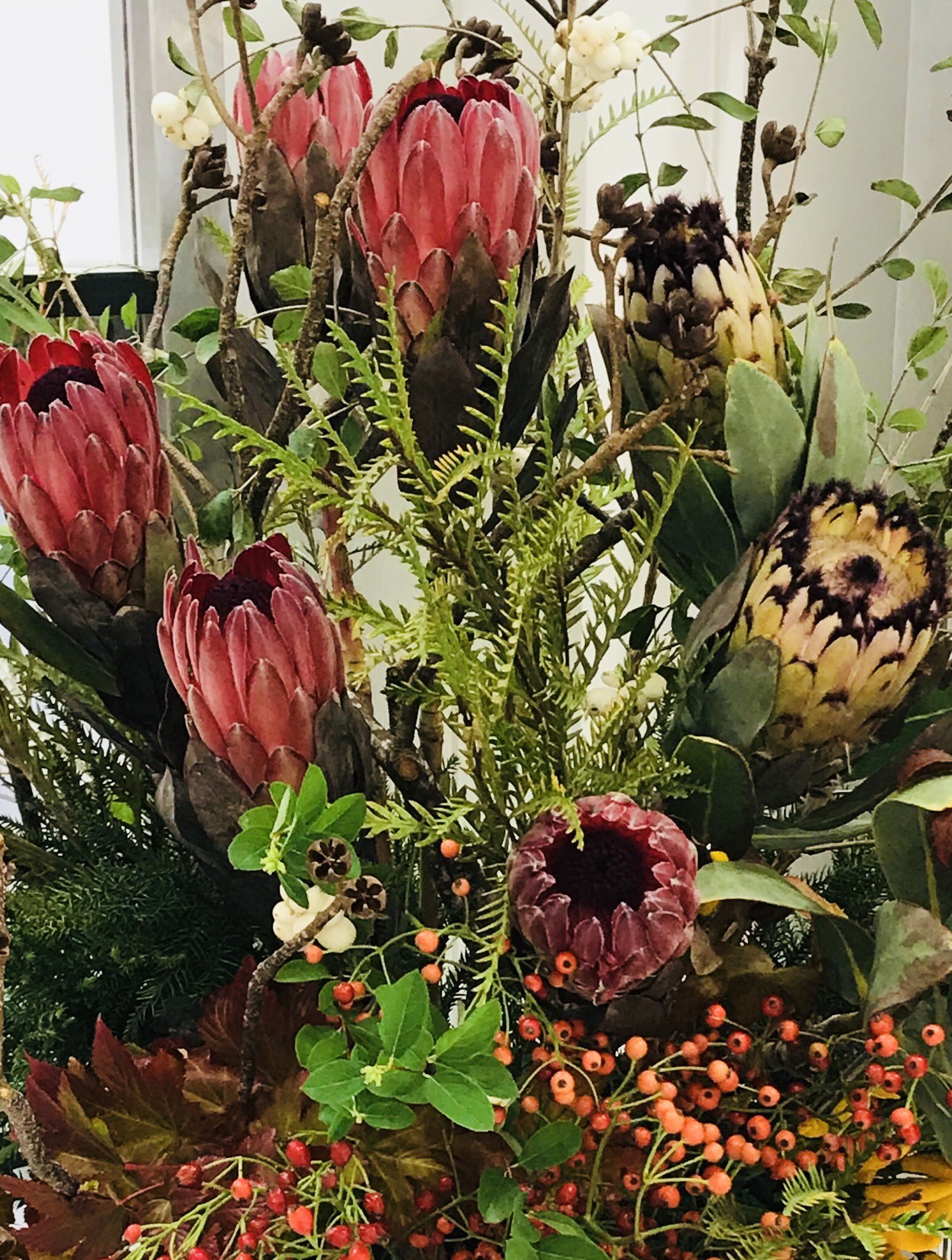 花ひばち 優しい繋がりに感謝 おはよー プロテア 先日 都心デパートで 存在感抜群の花 プロテア を贅沢に使ったフラワーアレンジメントに出会いました 花弁が特徴的なプロテアは 切り花の花材として用いられいました 花言葉 栄光 王者