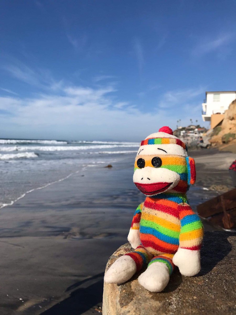 marcelmonkeys tweet picture