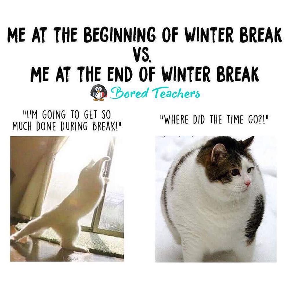 loriclarkteach's tweet photo. Prepping to return to school tomorrow rested, ready and rounder! #HappyNewYear2019 #teacherproblems 
#teachergoals https://t.co/3RbSHmPrdx