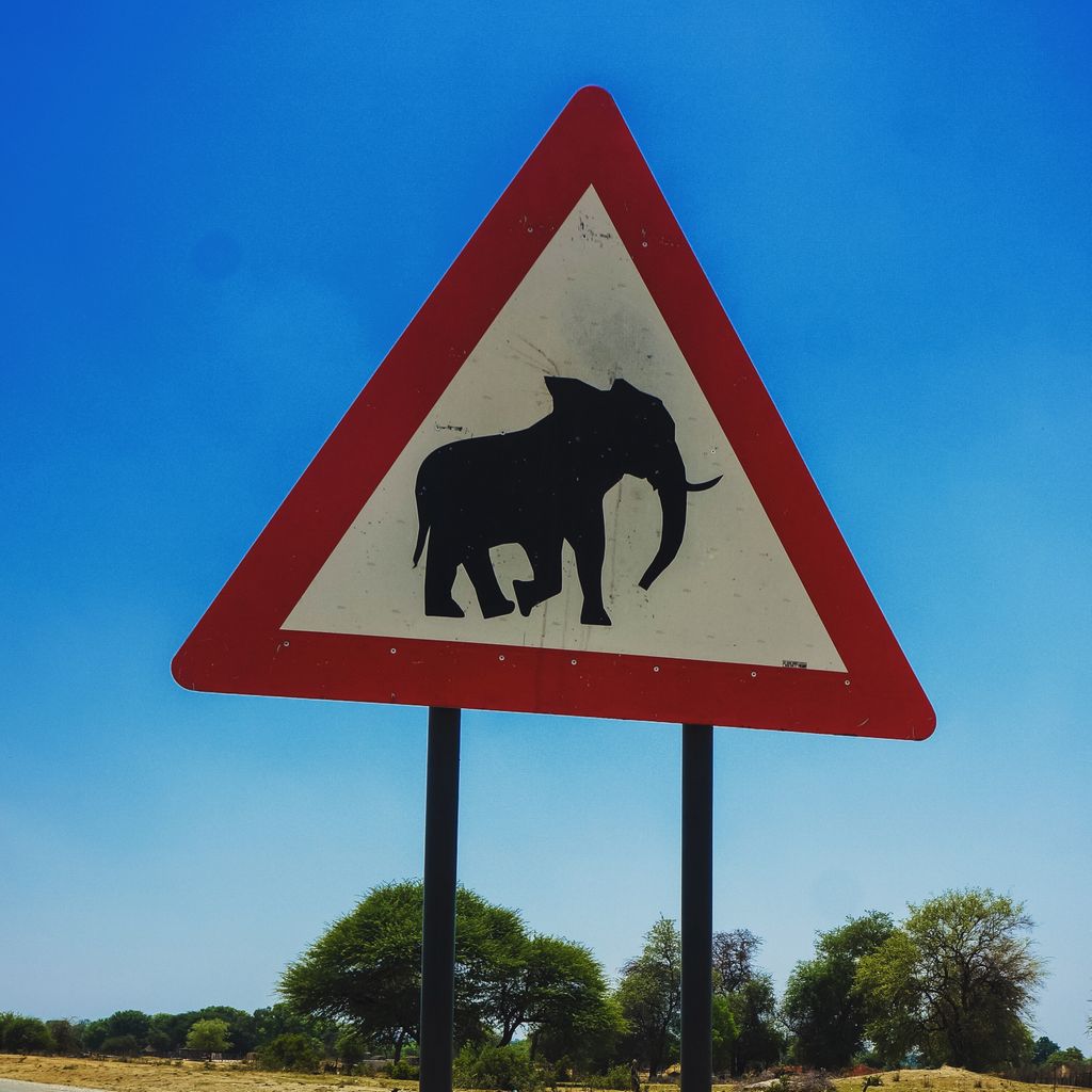 clickrob's tweet photo. Elephant crossing - standard.
.
.
#namibia #outjo #roadtrip #sign #warningsign #elephant #sky #travel #africa #travelphotography https://t.co/z1kb6zoxFr