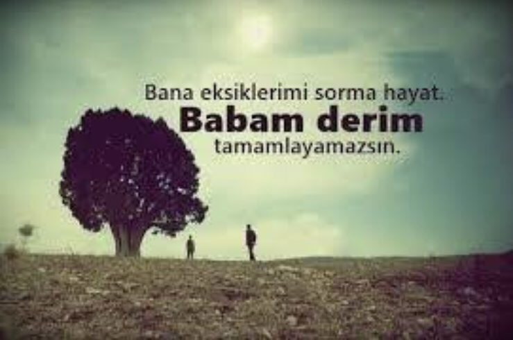 ᎧᎦᎤ_ ᎧᎦ tweet media