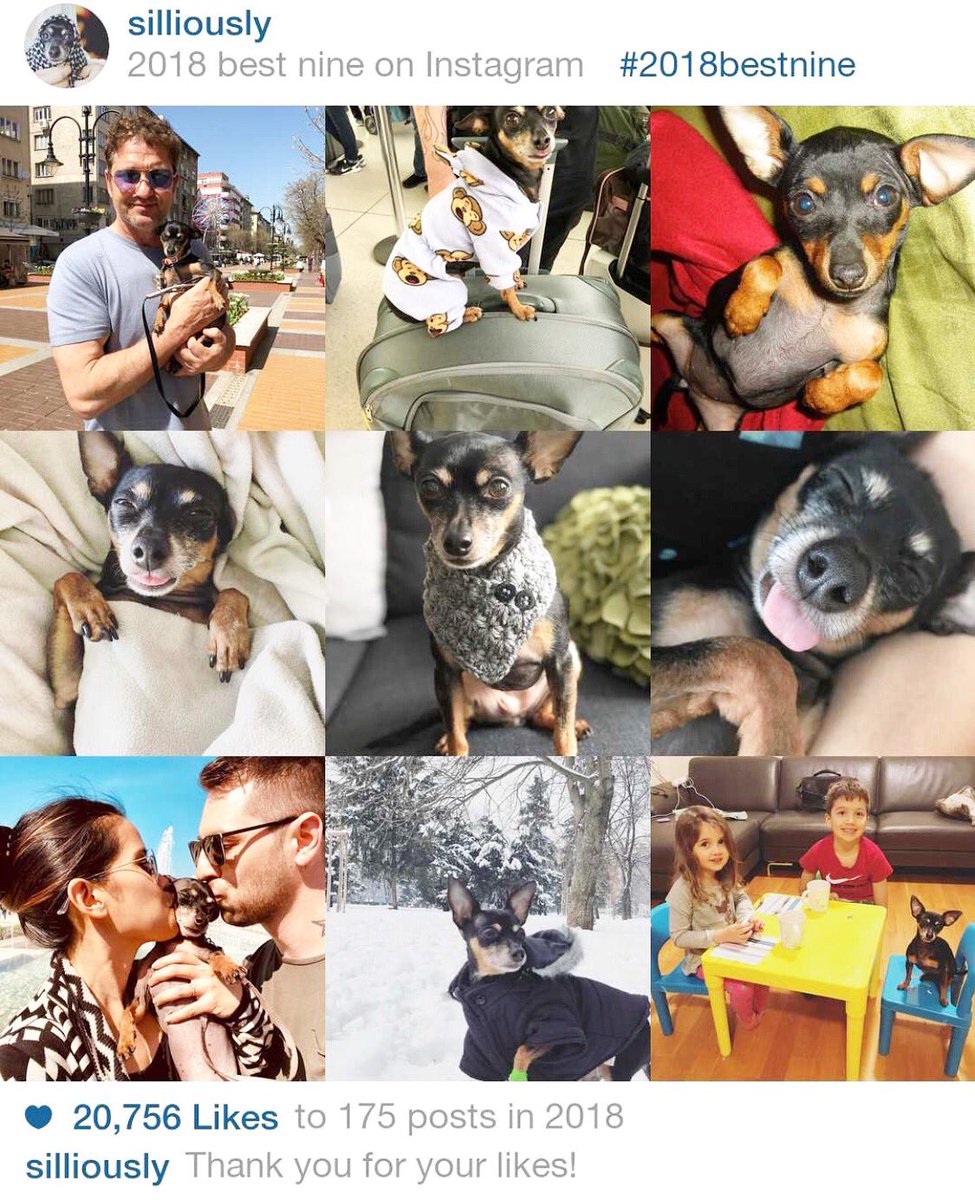 Thank you for following my silly daily life &amp; adventures! Can’t wait to share more in 2019! 🐾♥️ #LoveSparta #silliouslysparta #2018bestnine #minpin