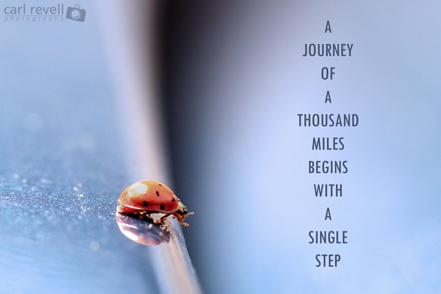 AnneRobertsMD's tweet photo. For those who wrote "#LoseWeight" on their #NewYearResolutions, we have solutions. This year, skip quick fixes &amp; choose a more sustainable path. We develop a plan tailored to each patient's needs &amp; walk alongside him or her during the journey. #SustainableWeightLoss #HappyNewYear https://t.co/SXhVuhXeDT