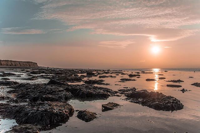 New Year's Day 2019 & a throwback to a #hernebay wander. Happy new Year to you all 🤙🏾💕📸🌎
#metsphotography_net
#britishcountryside #splendid_earth #soft_vision #natureromantix #brilliantbritain #capturingbritain_nature #fiftyshades_of_nature #ig_naturegallery #leagueoflenses …