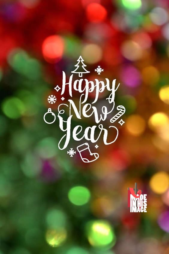 joeyleni's tweet image. 