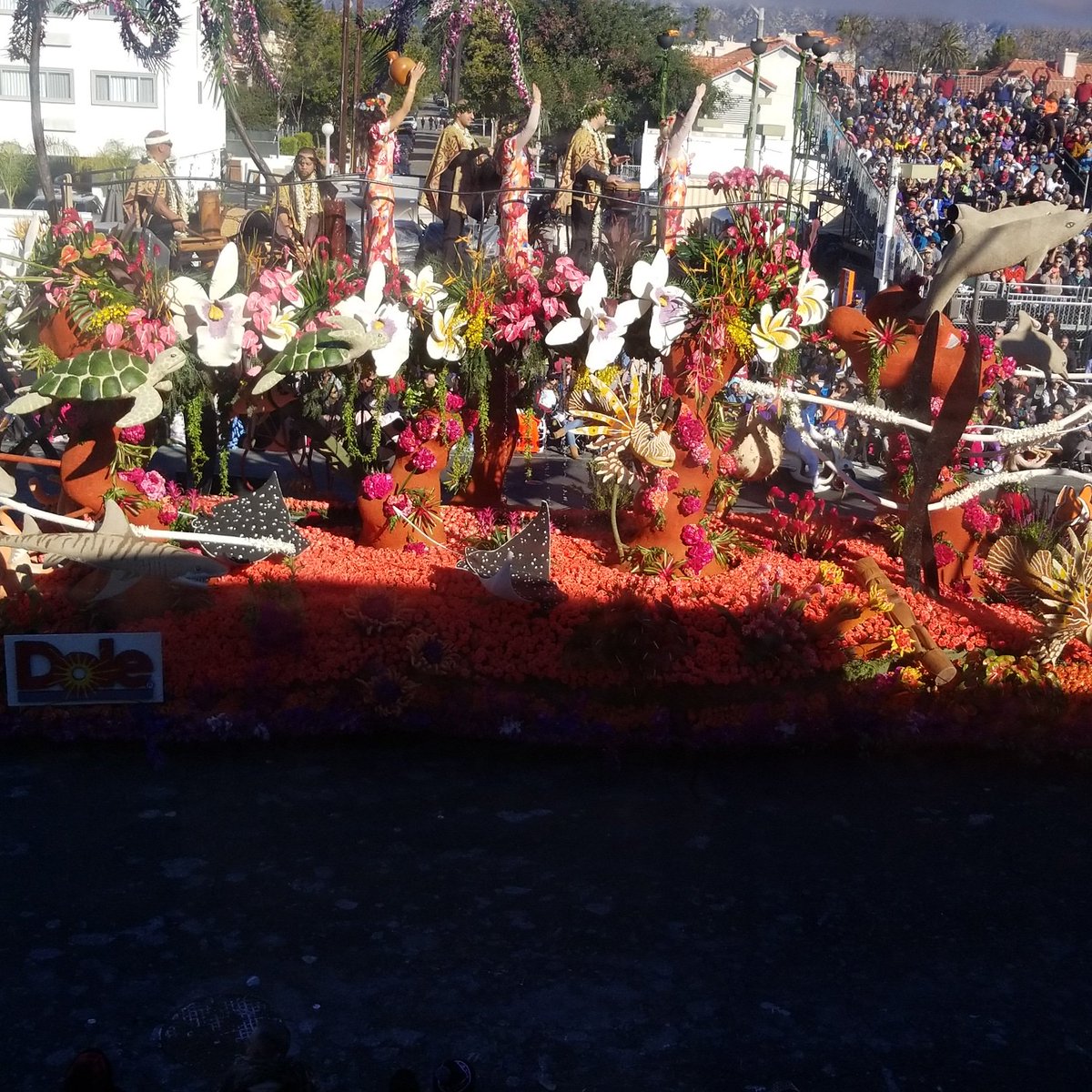 dianchlds's tweet photo. @RoseParade exciting. https://t.co/vH8kQCeY70