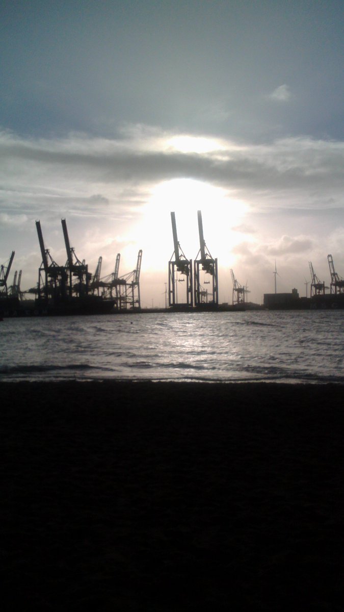 sbiene44's tweet photo. New Year Morning at my favorite place, at the beach.. https://t.co/HvbNiAoKi7