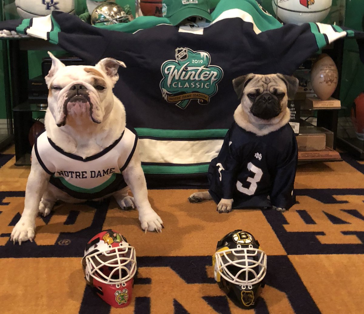 LoulouHoltz's tweet photo. Great day for Hockey 🏒 M&D are at the winter classic at Notre Dame Stadium. It’s the Boston Bruins @nhlbruins vs Chicago Blackhawk @nhlblackhawks Let play some outdoor Hockey 🏒 #nhl #nhl19 #winterclassic #winterclassic2019 #bridgestone #ndstadium #nhlblackhawks #nhlbruins https://t.co/yxaJjzBzOy