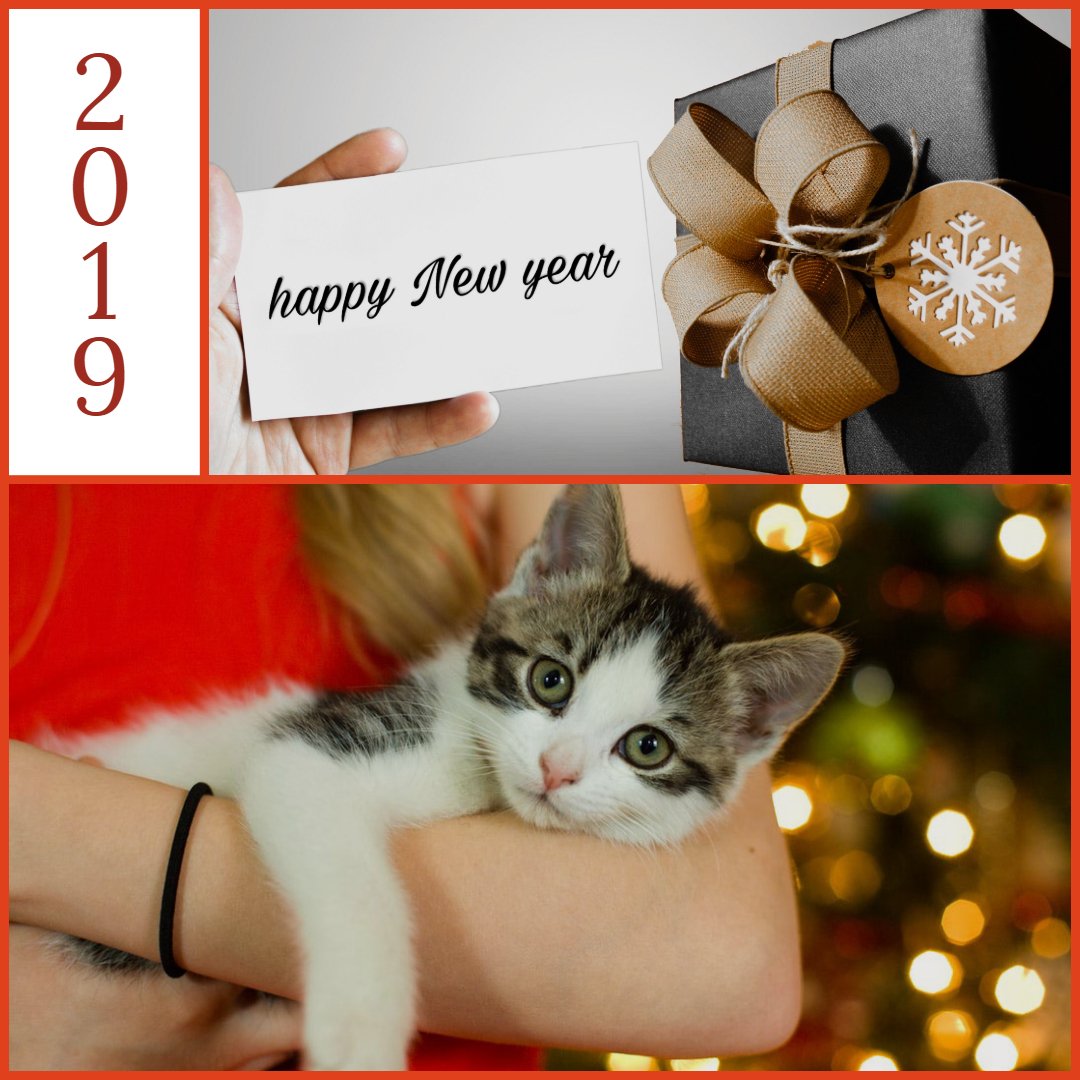 Simplify you chores in the the New Year! Litter Care makes cleaning your litter box a snap! #PetSafe #NonStickSpray #NoMoreScrubbing #ItsNotLitter #SaveTimeAndMoney