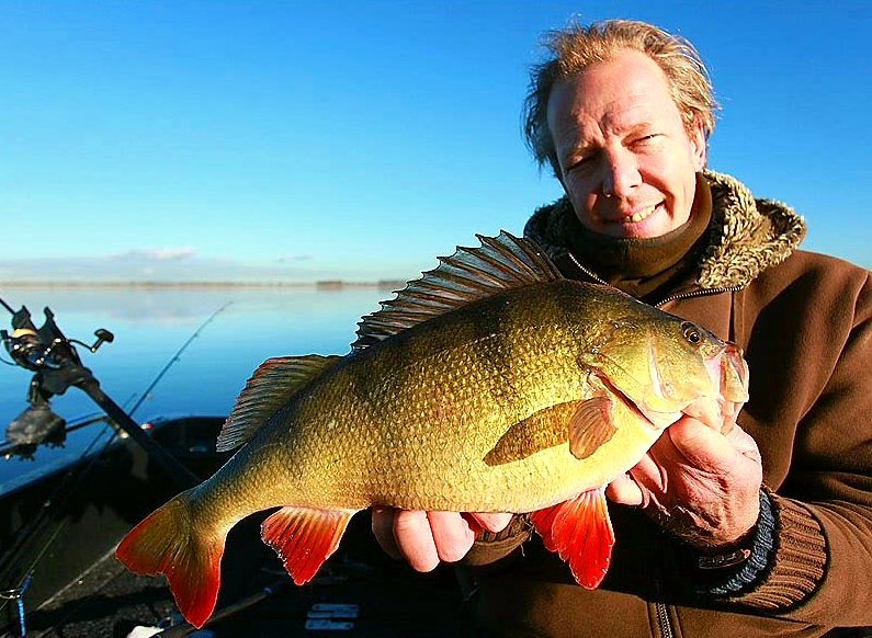 Doordat ik deze hobby weer heb opgepakt....is het Twitteren er ietwat bij ingeschoten. 2019 maar weer is vaker doen! Heb ik wat gemist....? #dtv