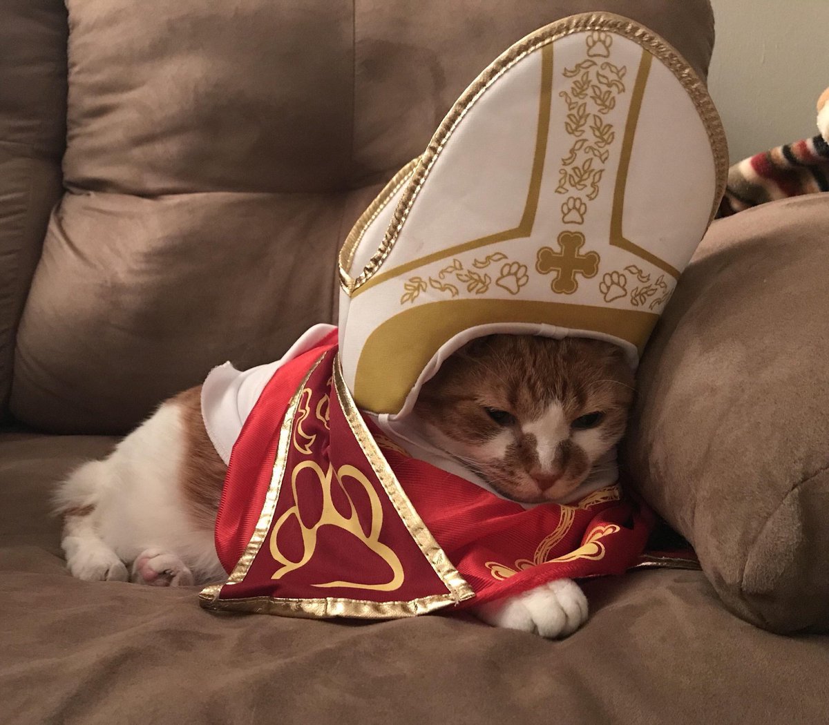 garyfromteenmom's tweet photo. me at 12:01 on january 1st trying to repent my sins https://t.co/fBdBrggMBQ