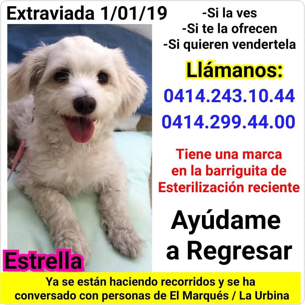 Zapata_zos's tweet photo. https://t.co/xwVwnB7Mev