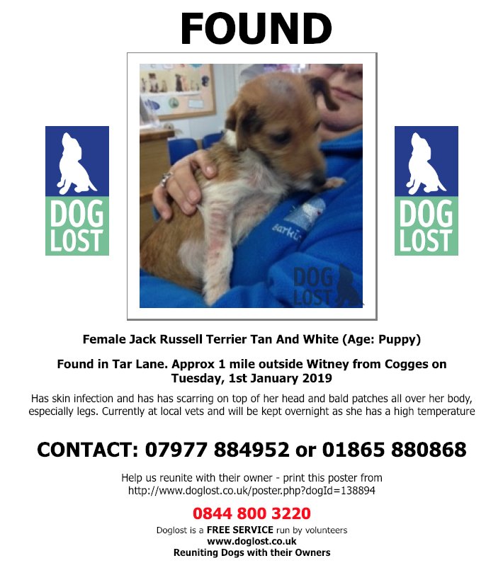 DogLostUK's tweet photo. https://t.co/jt1sXwNKjV  
#FOUND UNKNOWN #DOG 
 Female #JackRussellTerrier #Puppy 
#Witney #OX28 
Tuesday, 1st January 2019   #FoundDog https://t.co/TqAAqdN9r8  @VetsGetScanning @SAMPAuk_ https://t.co/0HMHuCJpUg