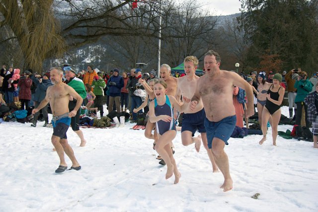 The Nelson Daily tweet media