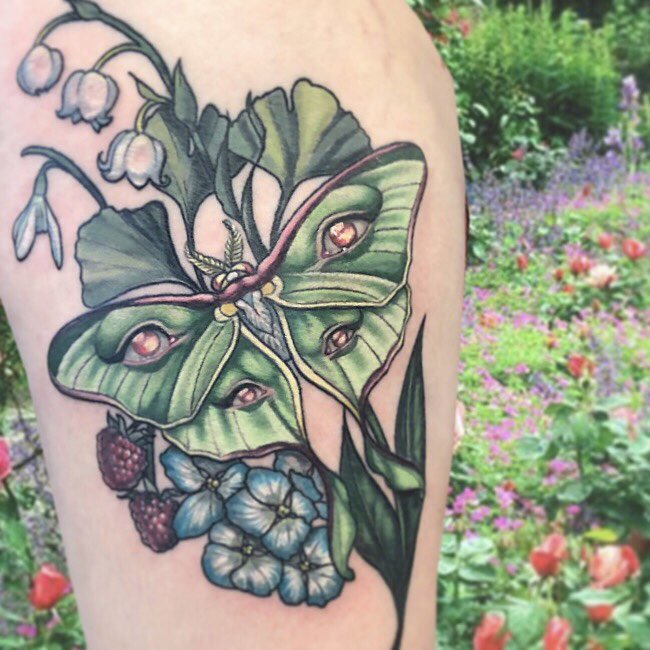 Tattooartcoryc on Instagram  Luna mothKnee cap     lunamothtattoo lunamoth neotraditionaltatt  Luna moth tattoo Moth  tattoo Traditional tattoo moon