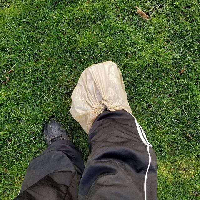 paulsating's tweet image. When you're able to WALK outisde for the first time since Thanksgiving, you strap on a plastic bag and conquer the yard like a champ!

#hobbled #achilles #sun #pnw #pnwlife #happy #mindset #happynewyear bit.ly/2QZMVtX