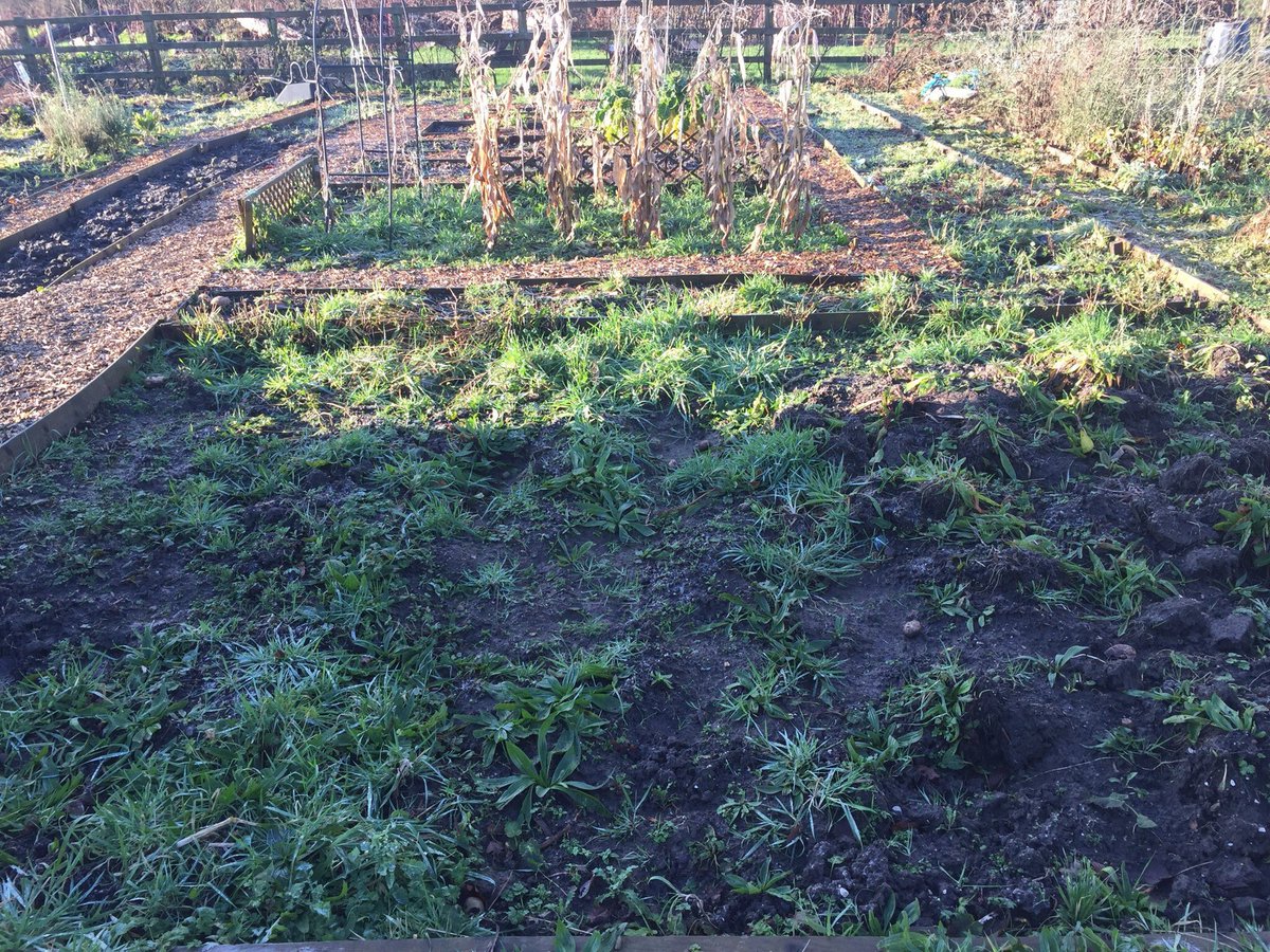 whatsonplot27's tweet photo. Then and now 12 months on. Its all just a journey we never call time on!#plot36 #allotment #gyo #allotmentlife https://t.co/zR2jSUPzJO