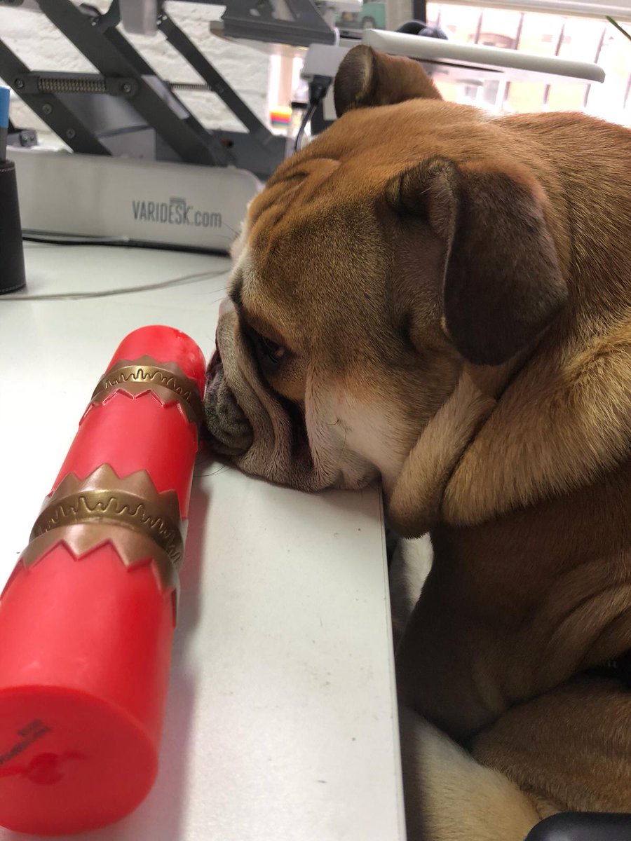 jabba_CEO's tweet photo. it's hard keeping office morale high when christmas and new year are over :( https://t.co/pFbnfTvBKP
