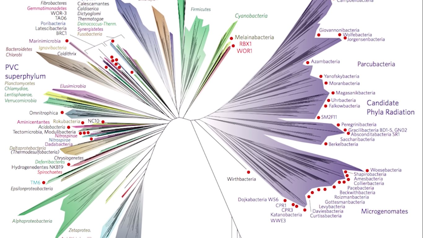 Dominic Walliman on Twitter "The hole in the ozone layer is recovering