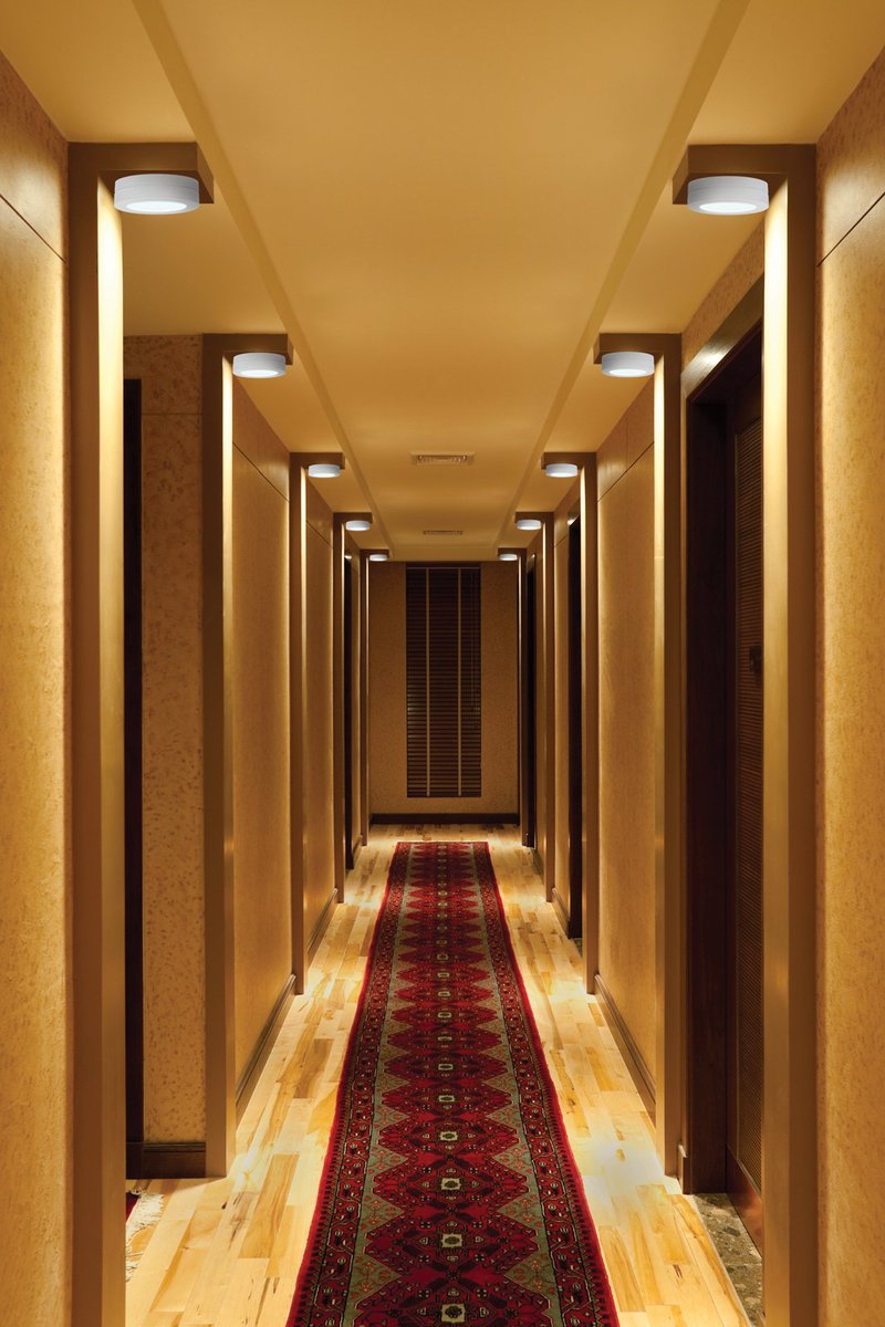 entry hall ceiling lights
