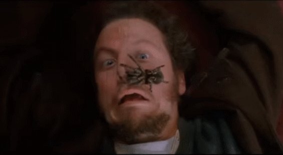 HeroicAgeChuck's tweet photo. Silver Tuna tonight!! Watching #HomeAlone since I didn't get to yet. #KEVIN !! #christmasmovies https://t.co/kVUoqGSMNx