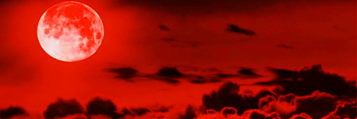 ✦ 【 karma akabane 】 ✦

          ↬ assassination classroom
  
                 ↬ pixiv id; 61659926
         
                          ↬ layout