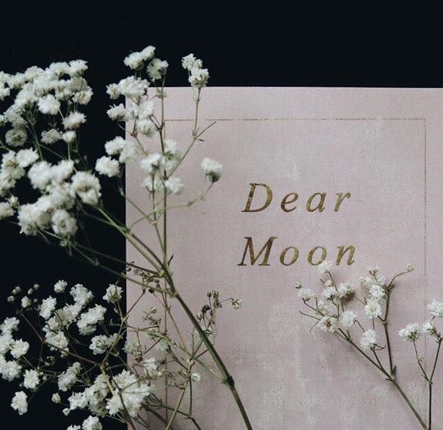 luna 🍊 tweet media