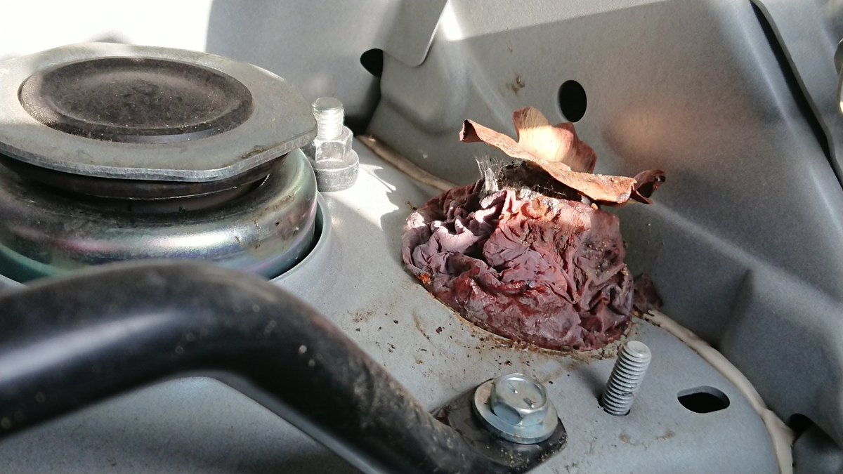 米ペンシルベニア州で車のボンネットを開けたら0個のクルミが なお日本ではなぜか ボンネット開けたら柿 多数 Togetter 米ペンシルベニア州で車のボンネットを開けたら0個のクルミが なお日本ではなぜか ボンネット開けたら柿 多数 Togetter