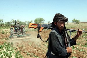 Афганистанд хар тамхины төрлийн ургамалын тариалалт өссөөр бна гэжээ.