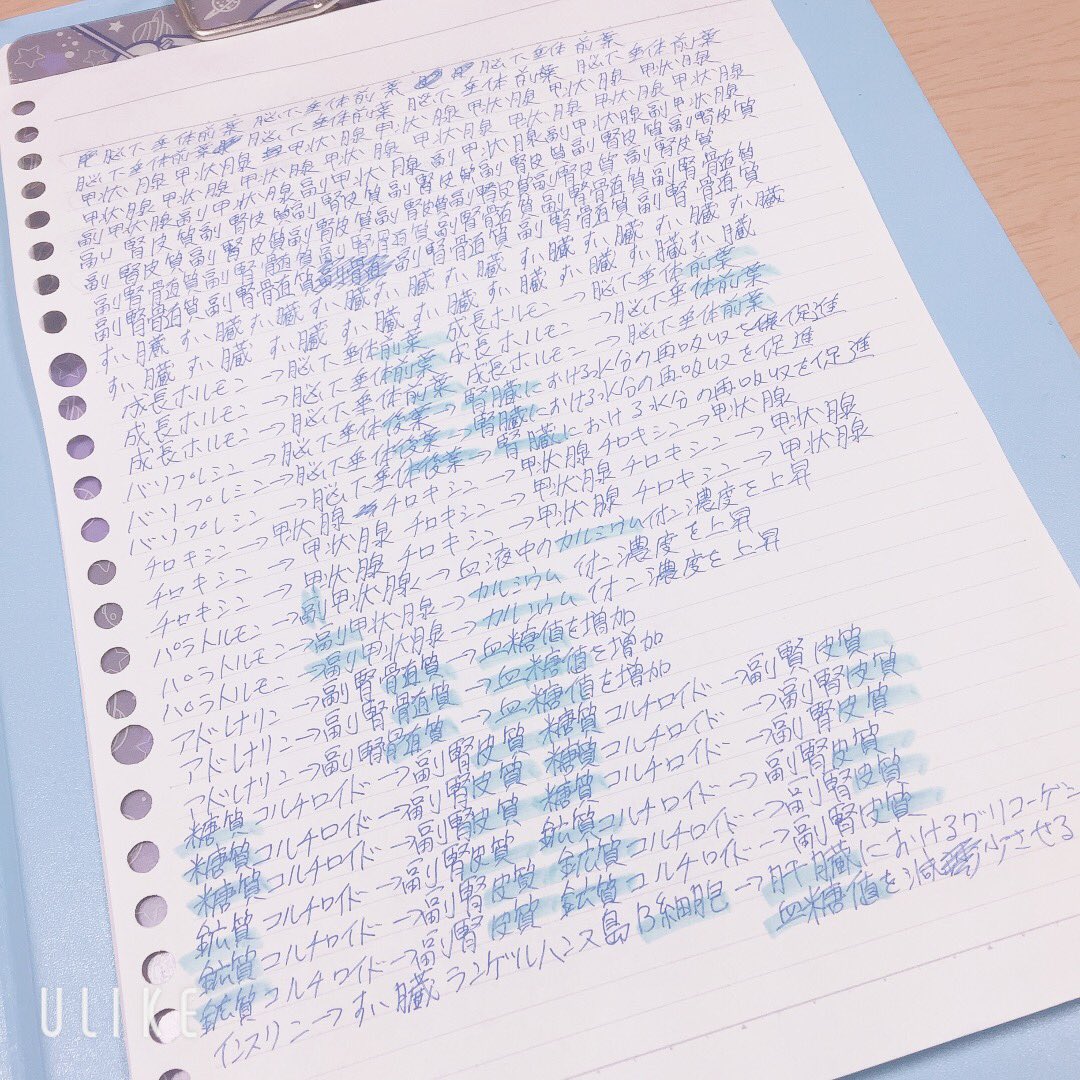 ハッシュタグ 青ペン書きなぐり勉強法