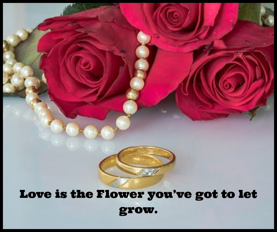 Love is the Flower you’ve got to let grow.
 #Beautiful #Flowers #Tarzana #quotes #Bouquets #Flowerdeliverytarzana #USA #flowerquotes