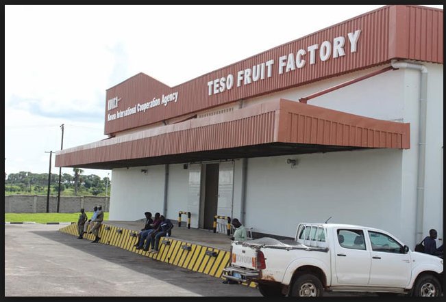 2019 kicks off with a swagger. This Saturday we shall be joining President @KagutaMuseveni to commission Teso Fruit Factory in Soroti. For the start, the factory will be processing btn 12,000 to 25,000 tonnes of fruits per year as it drives to full capacity. #HappyNewYear