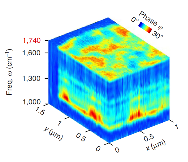 nanotechcong's tweet photo. Nano and Microsecond Time‐Resolved FTIR Spectroscopy of the Halorhodopsin Photocycle.
#nanoFTIR #spectroscopy #halorhodopsin #nanoscienceevent #nanotechnology2019
Do visit us in: https://t.co/PsDXhORzsy https://t.co/P2OMDFhfq2