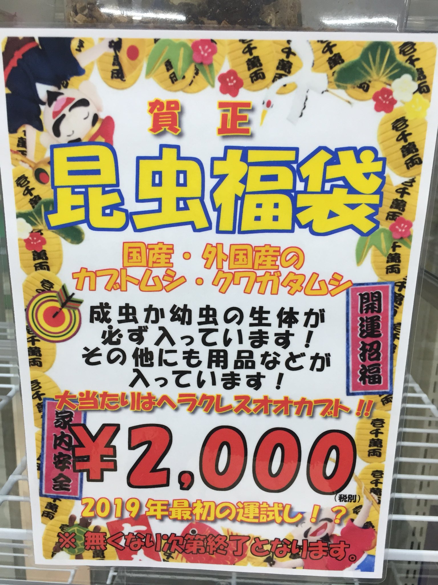 Aqua Animal Freedom アクア アニマル フリーダム 昆虫福袋販売してます 本の福袋に対してヘラクレス成虫2本 オオクワ成虫5000 8000円くらいの個体が6 7本 その他外国産クワガタ成虫や 幼虫 用品のセットをご用意しております Aqua Animal Freedom アクア アニマル フリーダム 昆虫福袋販売してます 本の福袋に対してヘラクレス成虫2本 オオクワ成虫5000 8000円くらいの個体が6 7本 その他外国産クワガタ成虫や 幼虫 用品のセットをご用意しております