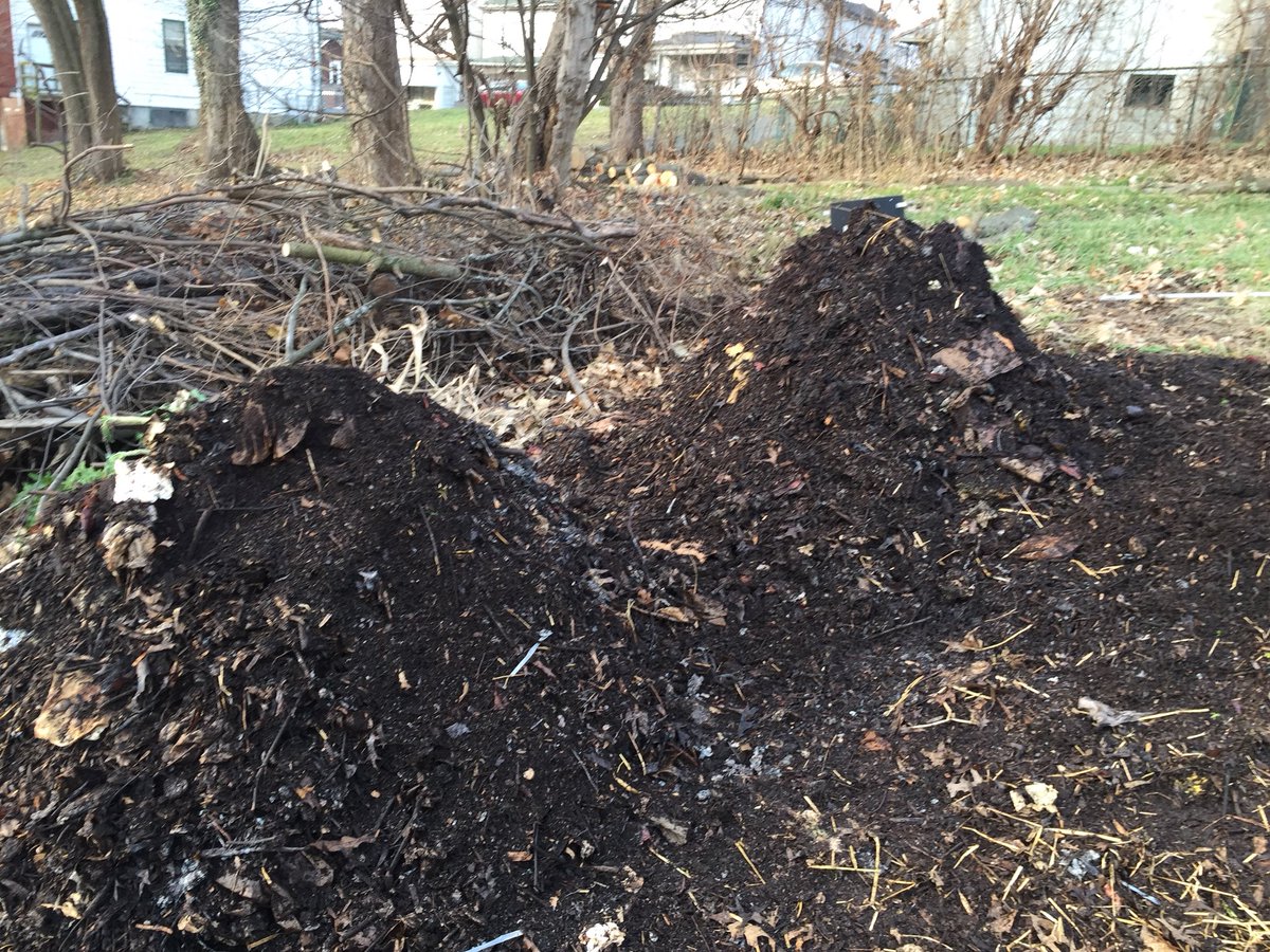 Worm Return tweet media