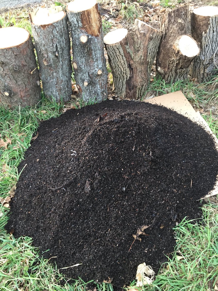 Worm Return tweet media