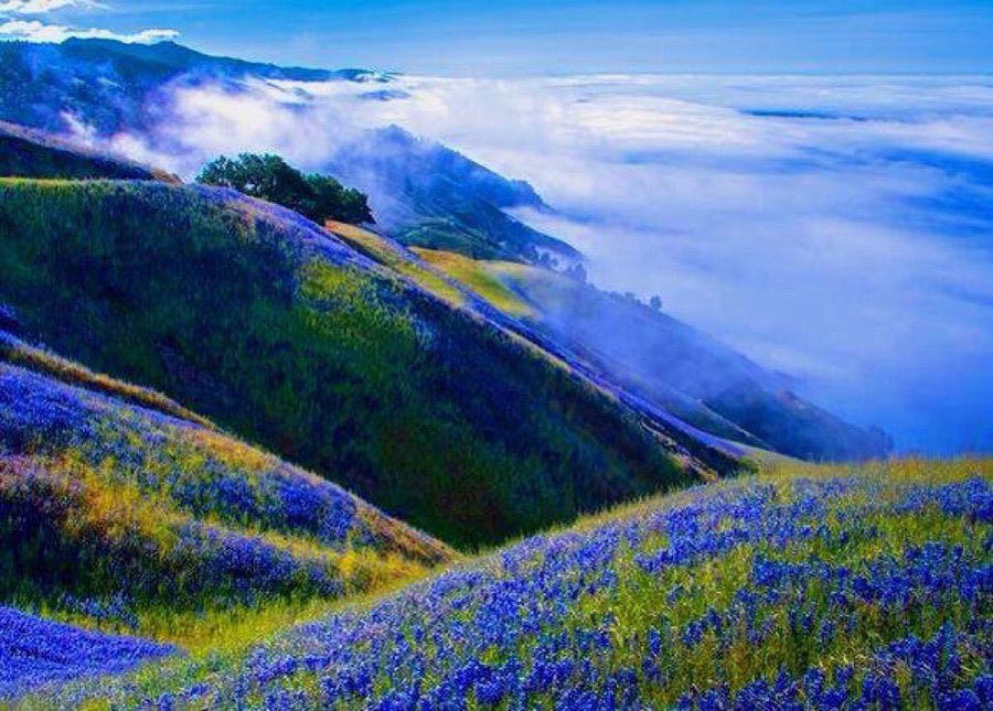 All the flowers of all the
tomorrows are in the
seeds of today...

#Proverb