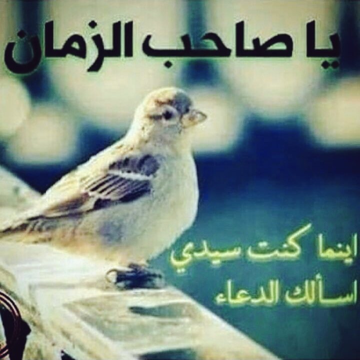 07809055722's tweet photo. https://t.co/ObkEz8UL1u
