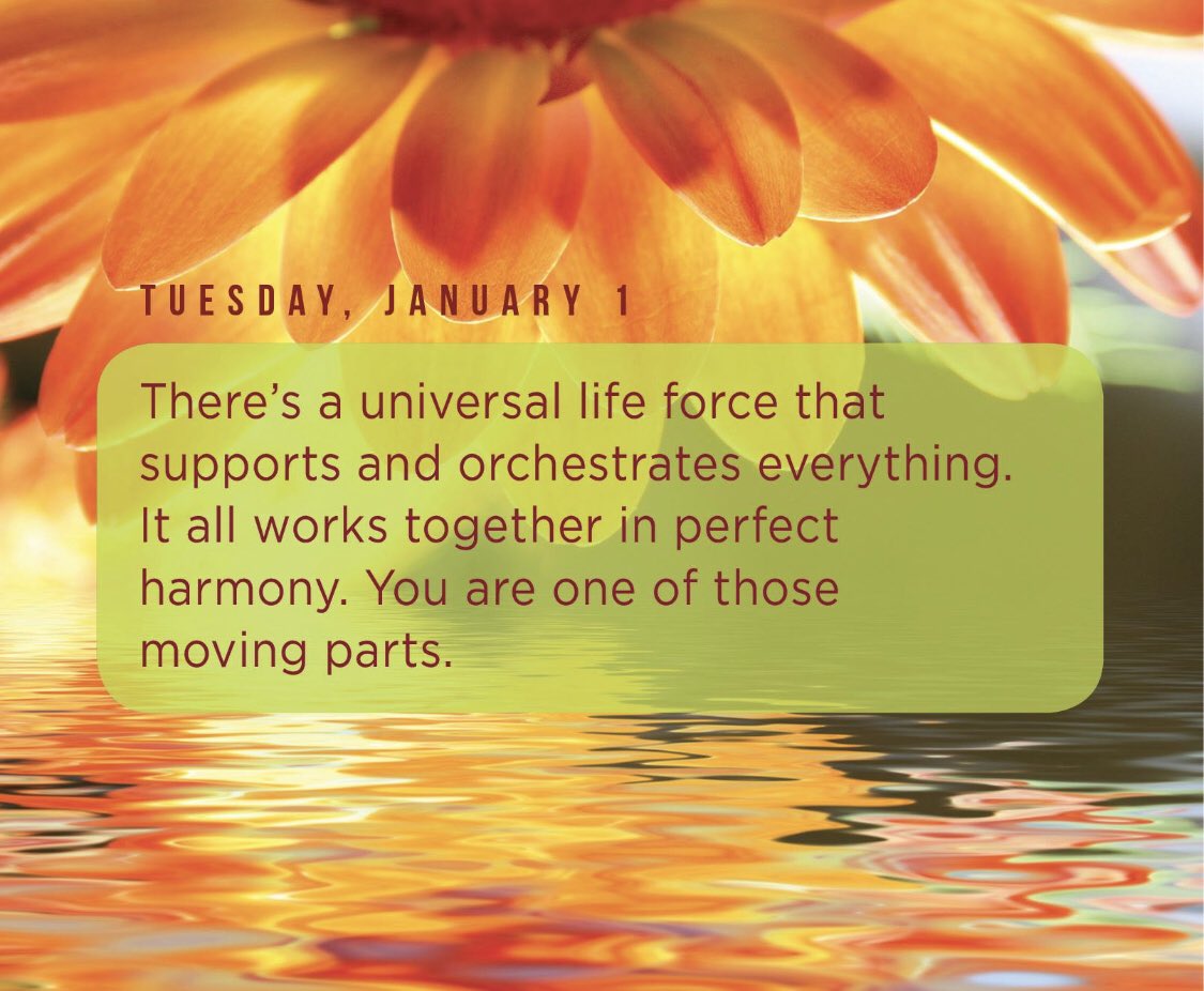 ldconsulting's tweet image. Beautiful from @DrWayneWDyer ✨