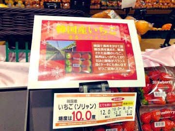 Twitterで画像を見る