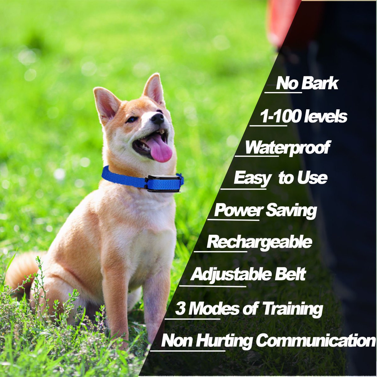 Having Behaviour Problems with your Dog?
But Can't Afford The Expensive Training?☹️
Buy Our Affordable And Effective Training Collar From Here  amzn.to/2GvF8zc  
Because Training is your Dog's Right
#DogTraining #barkcollar #dogtrainingtips #dogsoftwitter #doglovers