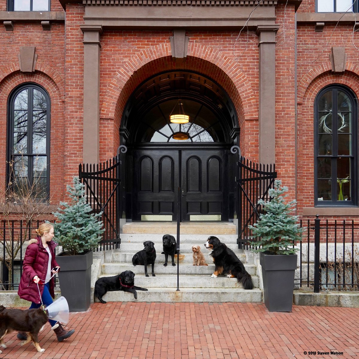 Steven Watson tweet media