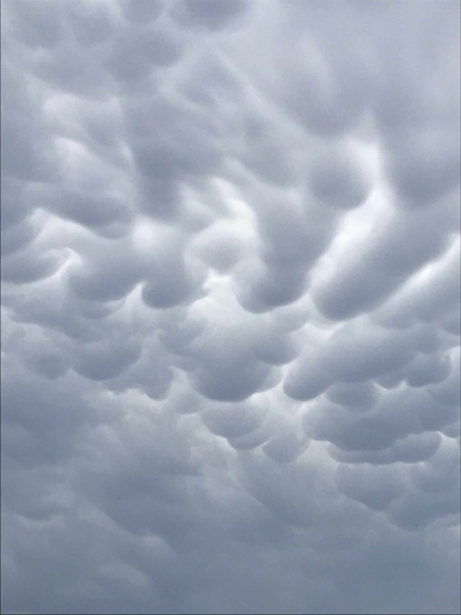 WyndhamSusan's tweet image. #Sydneyweather #clouds #anotherstorm?