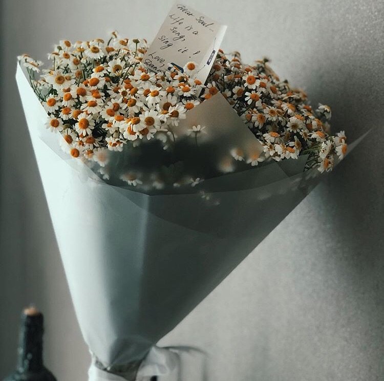 "To my beautiful, one and only love.
Cheers to the brand new year ahead, let's embrace our 5th year together."

<a href="/AMOROSlTY/">hades's</a>