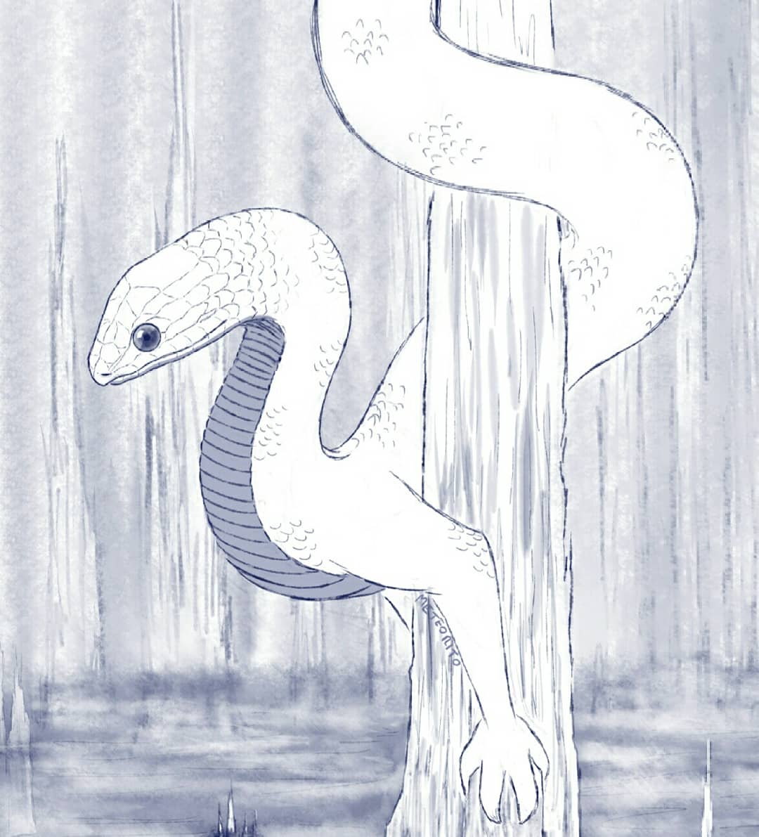 Starting the year with #creatuanary. Day 1 #swampdragon, inspired by the black swamp snake, let's see how many of these I do

#drawing #sketch #snake #dragon #swamp #blackswampsnake #nature #art #tumblrart #creatuanary2019