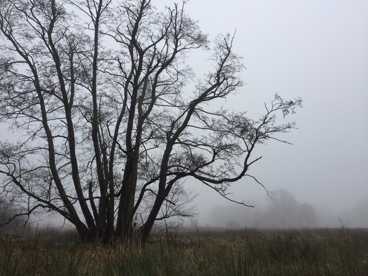 IntuitiveTrails's tweet photo. Zin in winter! Loop 26 jan maar mee met deze Spirit of Nature-wandeling. 
'Wat een mooie mogelijkheid om de natuur ECHT te beleven, met volle aandacht. Het alleen-zijn in het bos was spannend, maar ook leerzaam.'
https://t.co/qblZlhDL5Y

@Boomkroonpad @NatuurWijs @staatsbosbeheer https://t.co/UG4kte2rXo