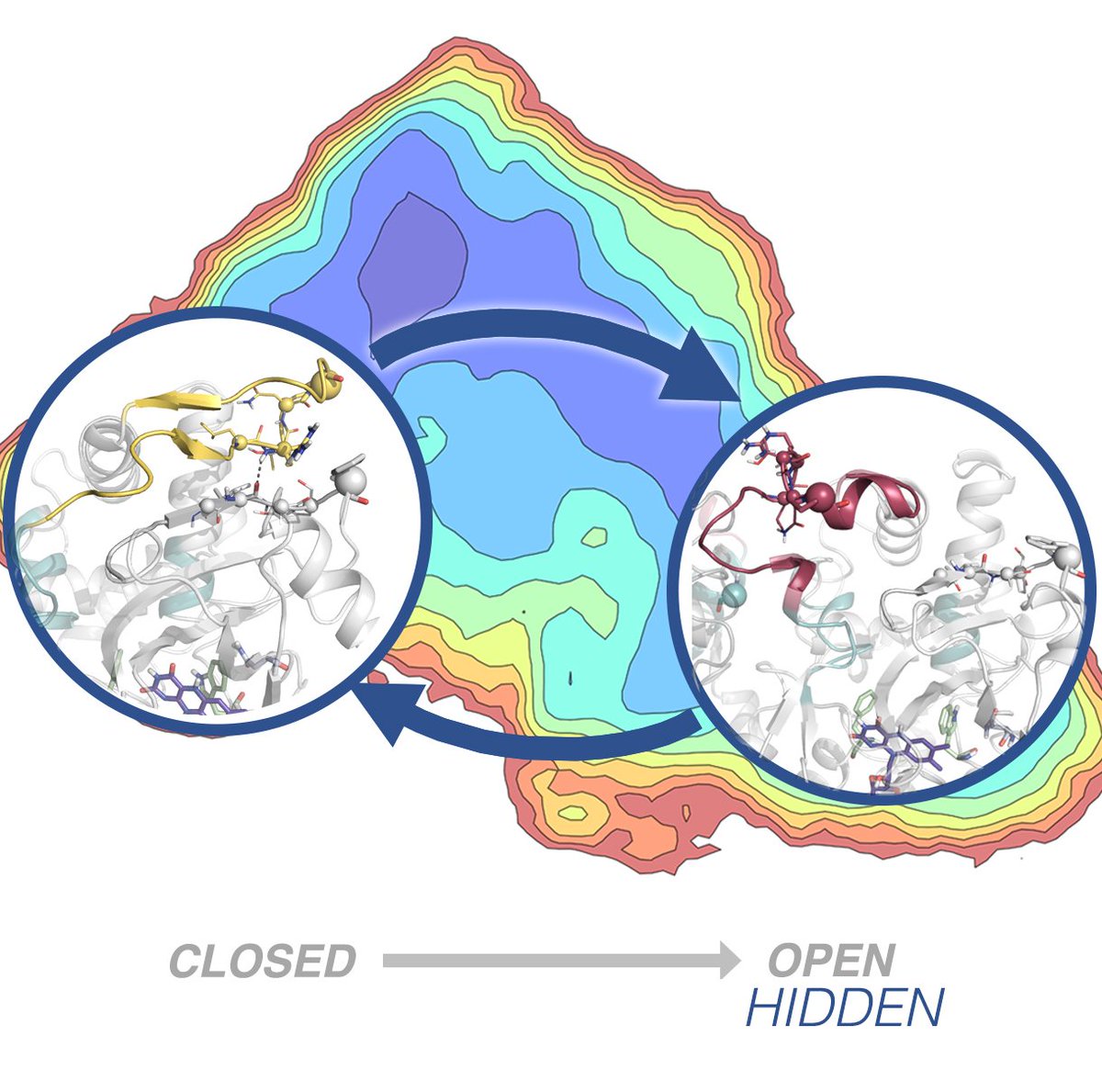 CompBioLab (@compbiolab_iqcc) on Twitter photo Great start of the 2019 year!!! Congratulations to <a href="/CuradoChristian/">Christian Curado</a>, <a href="/ferranfeixas/">Ferran Feixas</a>, and Javi Iglesias-FernĆ”ndez for MAO-N paper in <a href="/angew_chem/">Angewandte Chemie</a> onlinelibrary.wiley.com/doi/10.1002/an⦠Great start of the 2019 year!!! Congratulations to <a href="/CuradoChristian/">Christian Curado</a>, <a href="/ferranfeixas/">Ferran Feixas</a>, and Javi Iglesias-FernĆ”ndez for MAO-N paper in <a href="/angew_chem/">Angewandte Chemie</a> onlinelibrary.wiley.com/doi/10.1002/anā¦